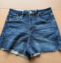 The Bridget Highrise Shorts