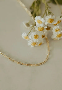 The Madeline Gold Filled Paperclip Necklace