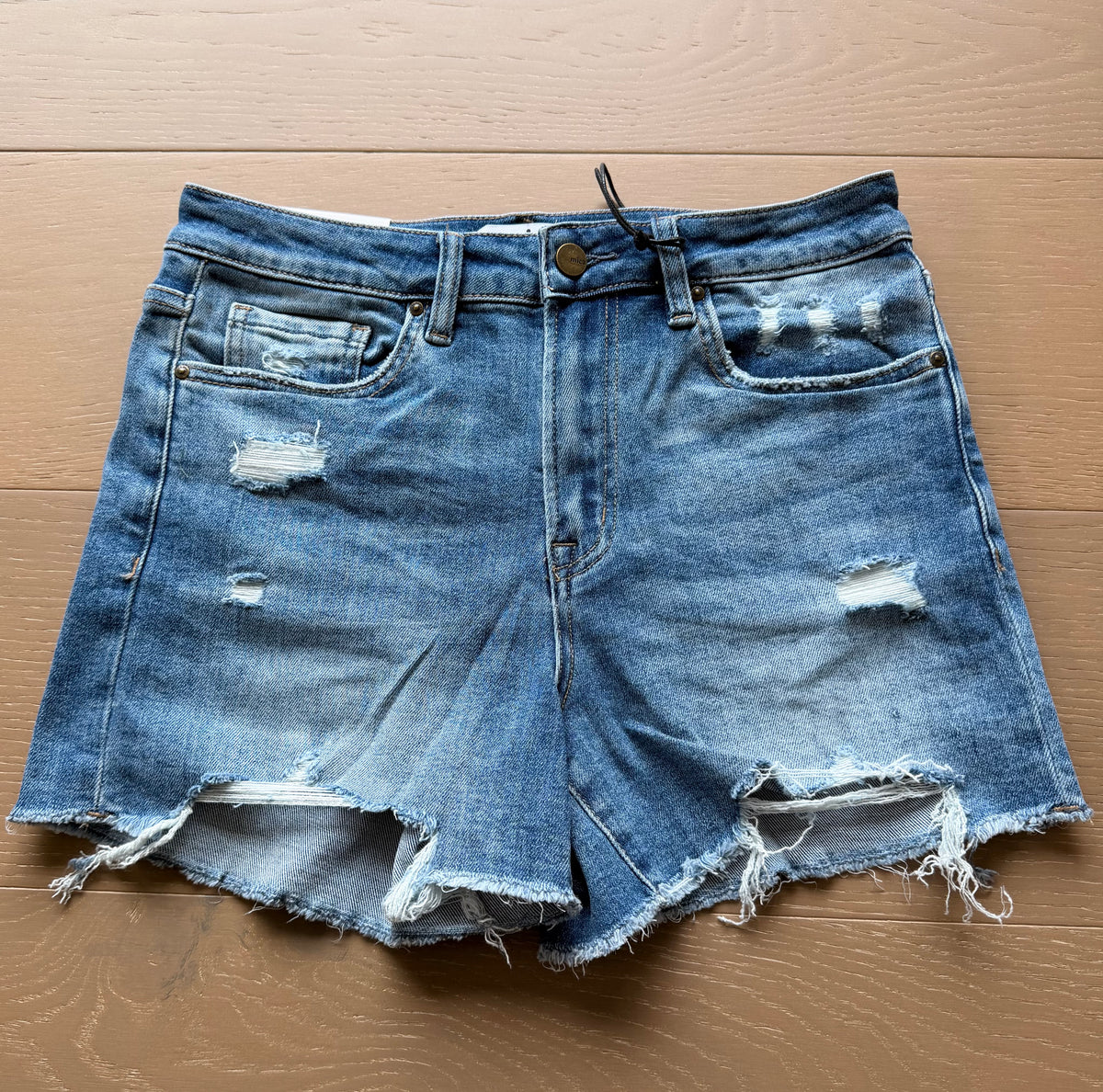 The Scarlett Highrise Shorts